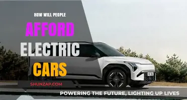 Affording the Electric Shift: Strategies for Accessible EV Ownership