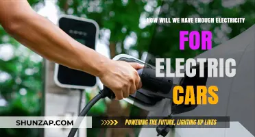 Powering the Future: Ensuring Electricity Supply for Electric Vehicles