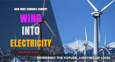 Wind Power: Wind Turbines' Electricity Generation