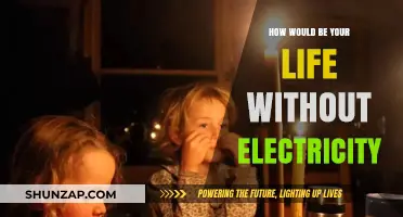 Life Without Electricity: A Dark and Quiet World