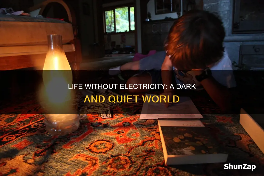 how would be your life without electricity