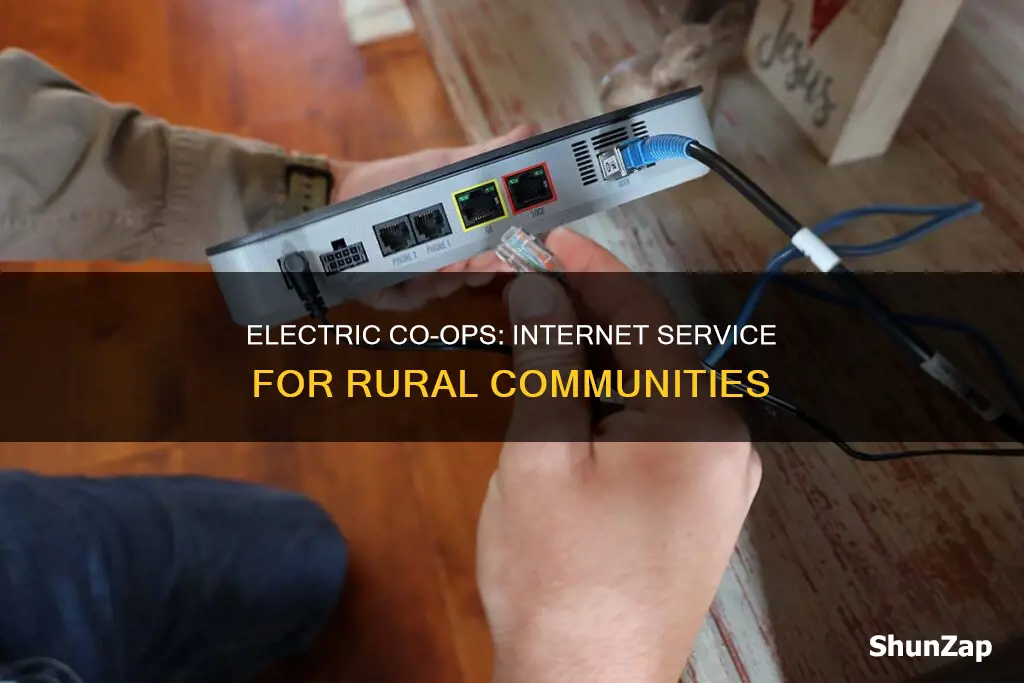 how would electric coops provide internet service