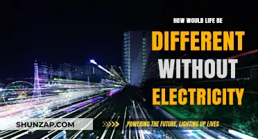 Life Without Electricity: A Dark and Quiet World