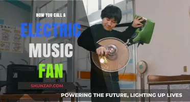 Electric Music Fanatics: What's in a Name?