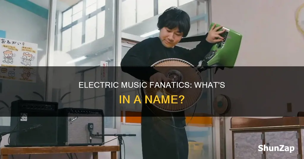 how you call a electric music fan