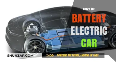 Exploring Battery Electric Car Performance, Range, and Charging Efficiency