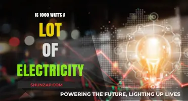 How Much Electricity Does 1000 Watts Really Use?
