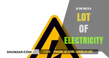 Voltage and Safety: 120 Volts and You