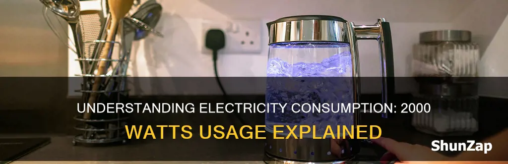 is 2000 watts a lot of electricity