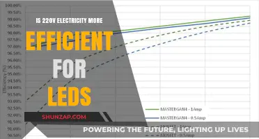 High Voltage Efficiency: LED Lights and 220V