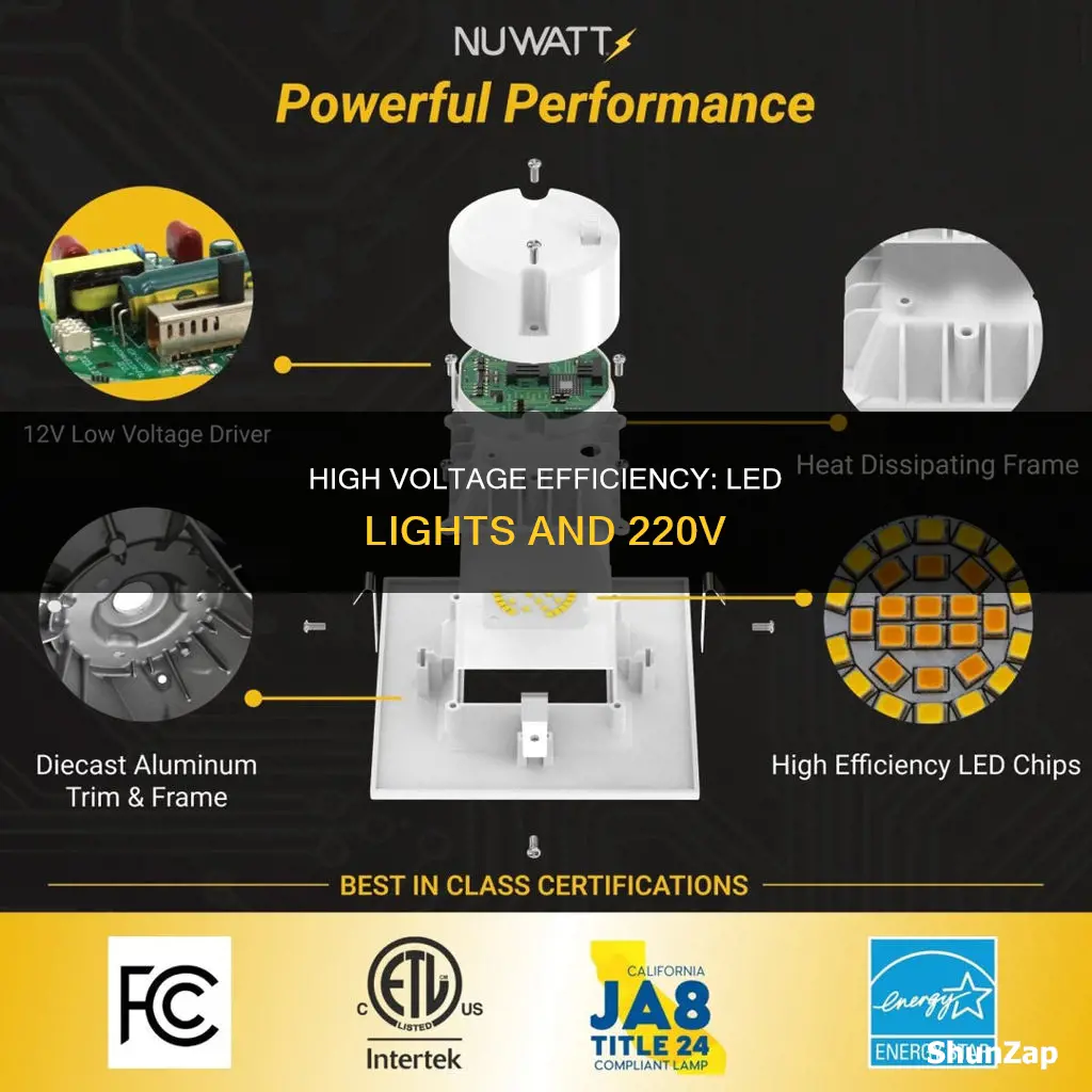is 220v electricity more efficient for leds