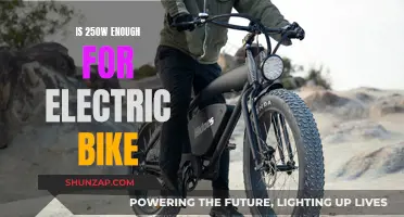 Powering Your Ride: 250W Electric Bike Engine Sufficient?