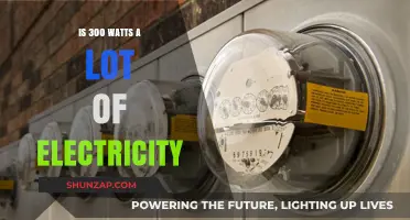 How Much Power Does 300 Watts Really Provide?
