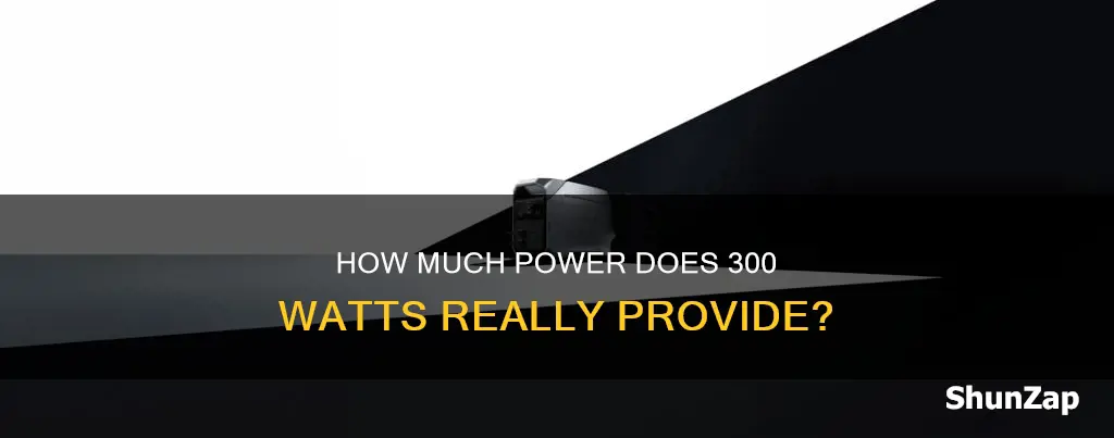 is 300 watts a lot of electricity