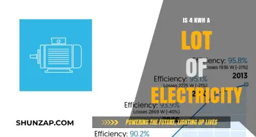 How Much Electricity Does 4 kWh Actually Power?