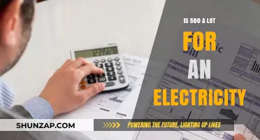 High Electricity Bill: Is $500 Too Much?