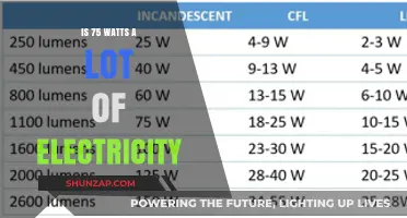 How Much Power Does 75 Watts Really Pull?