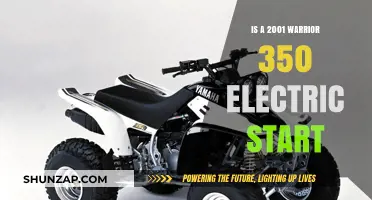 Electric Start Warriors: 2001 350's Secret Power