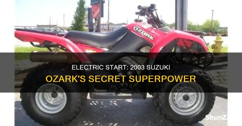 is a 2003 suzuki ozark electric start