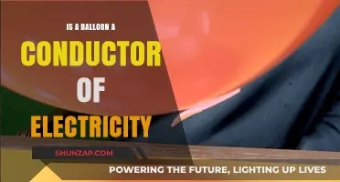 Are Balloons Electric Conductors?