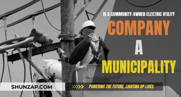 Community-Owned Electric Utility: A Municipality's Power?