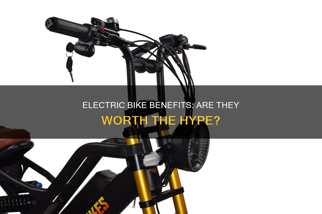 is a electric bike worth it