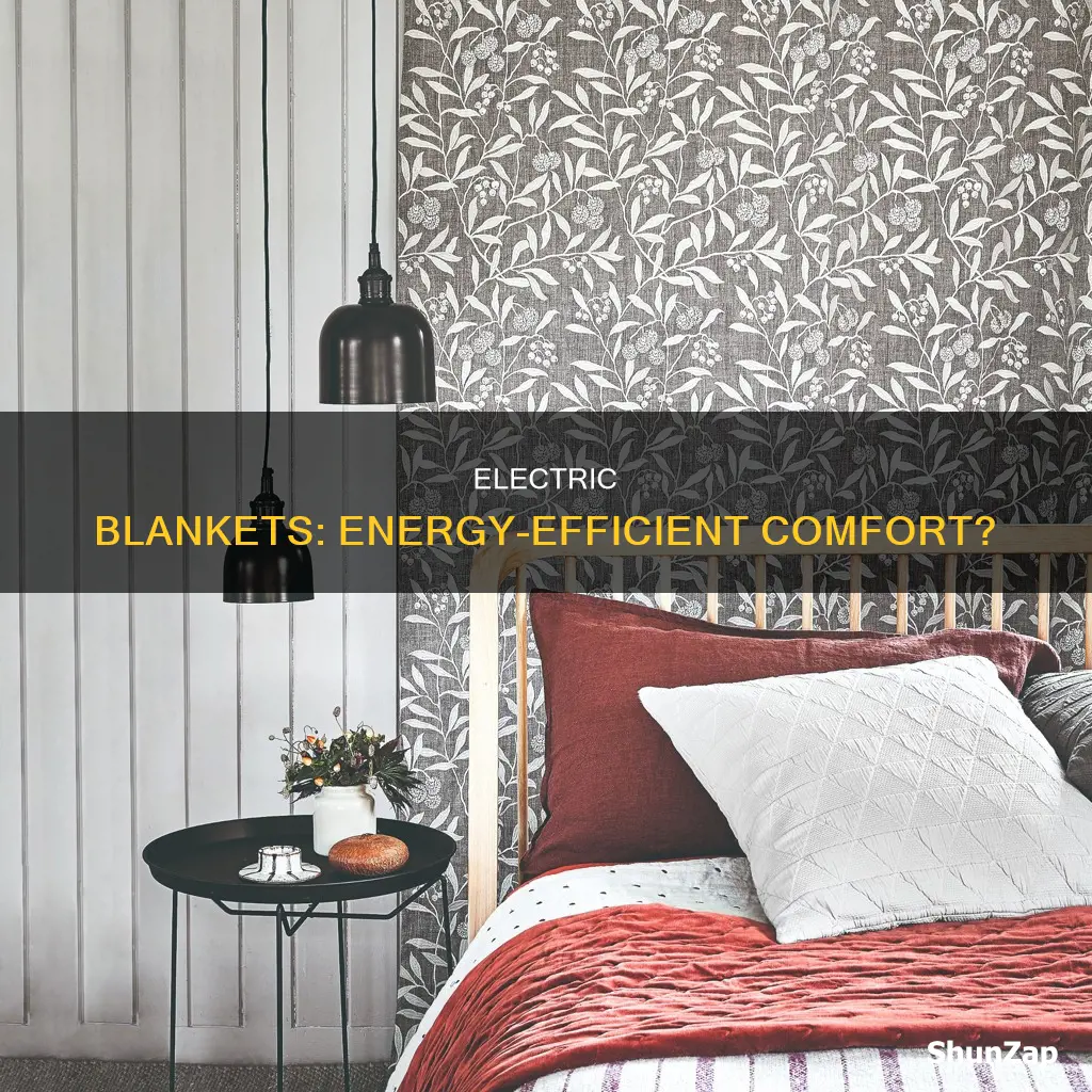 is a electric blanket cheap to run