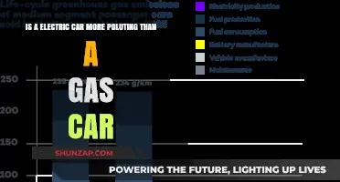 Electric vs. Gas Cars: Which One Pollutes More?