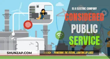 Electric Companies: Public Service or Private Interest?