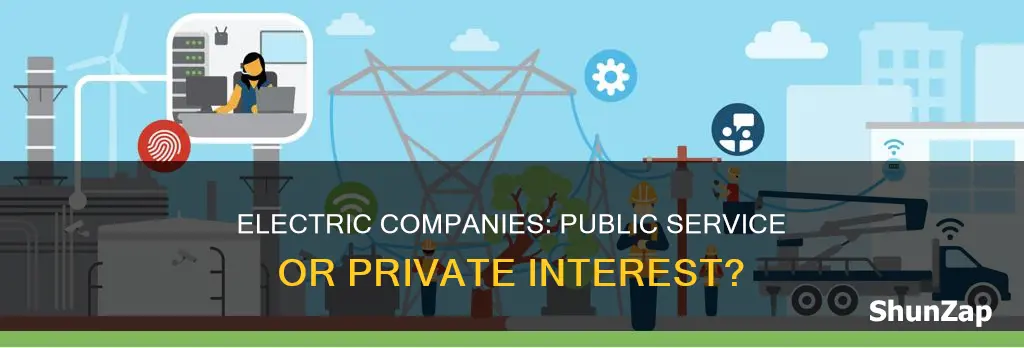 is a electric company considered public service