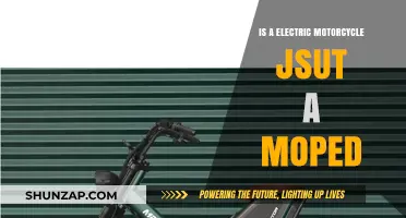 Electric Motorcycles: More Than Just Mopeds?