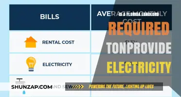 Florida Landlord's Electricity Obligation: What's Required?