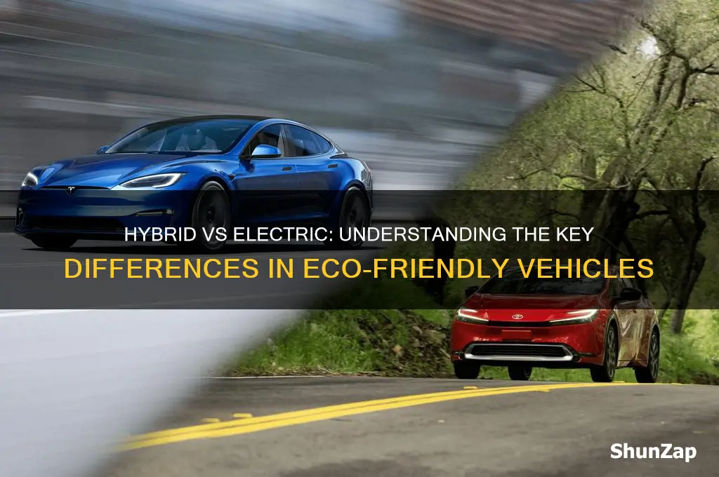 is a hybrid an electric car