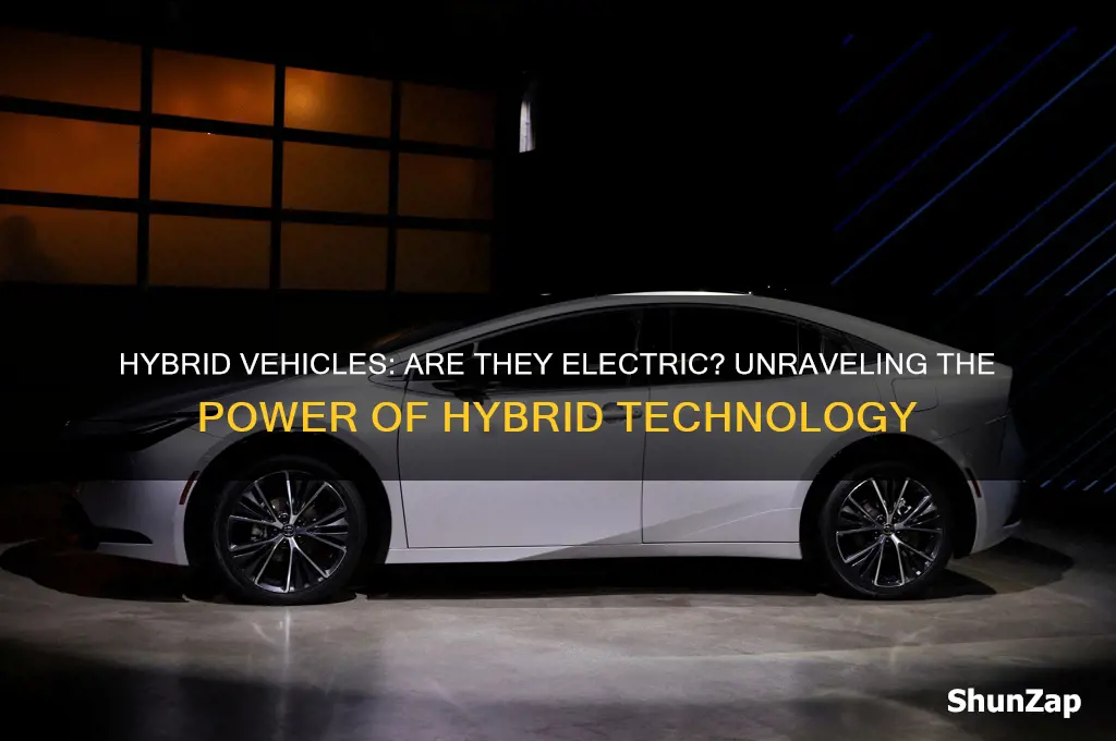 is a hybrid an electric vehicle