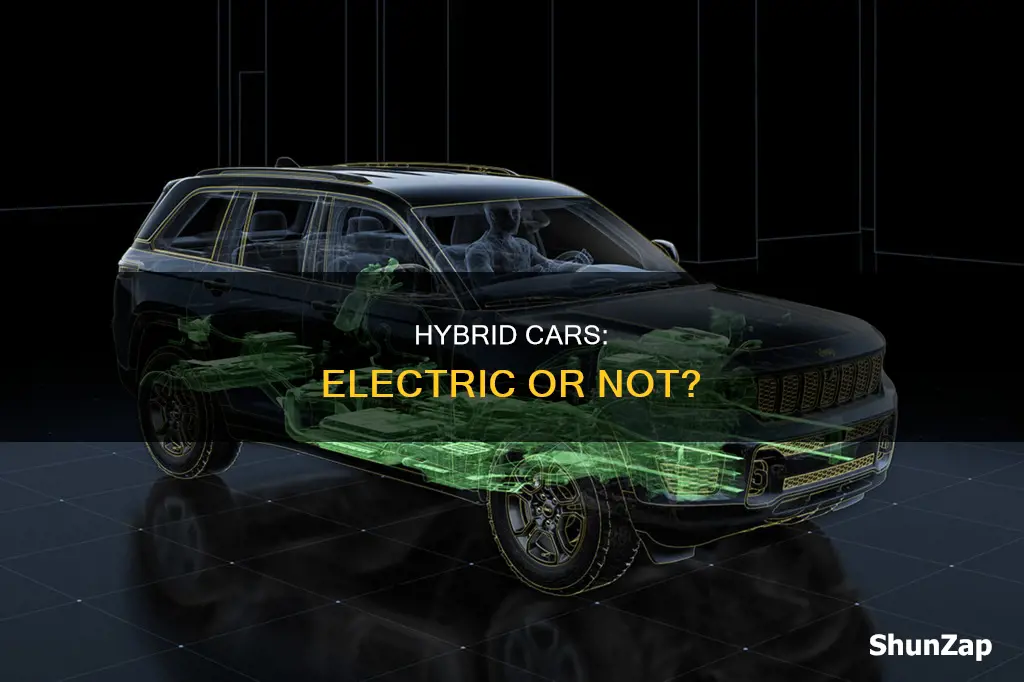 is a hybrid an electric vehicle