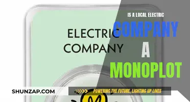 Electric Company Monopolies: Local Power, Global Impact?