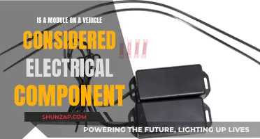 Vehicle Modules: Electrical Components or Not?