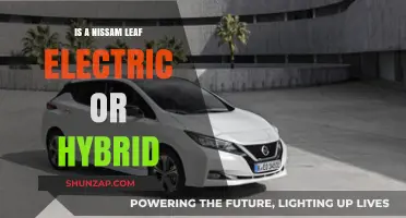 Electric or Hybrid? Nissan Leaf's Powertrain Secrets