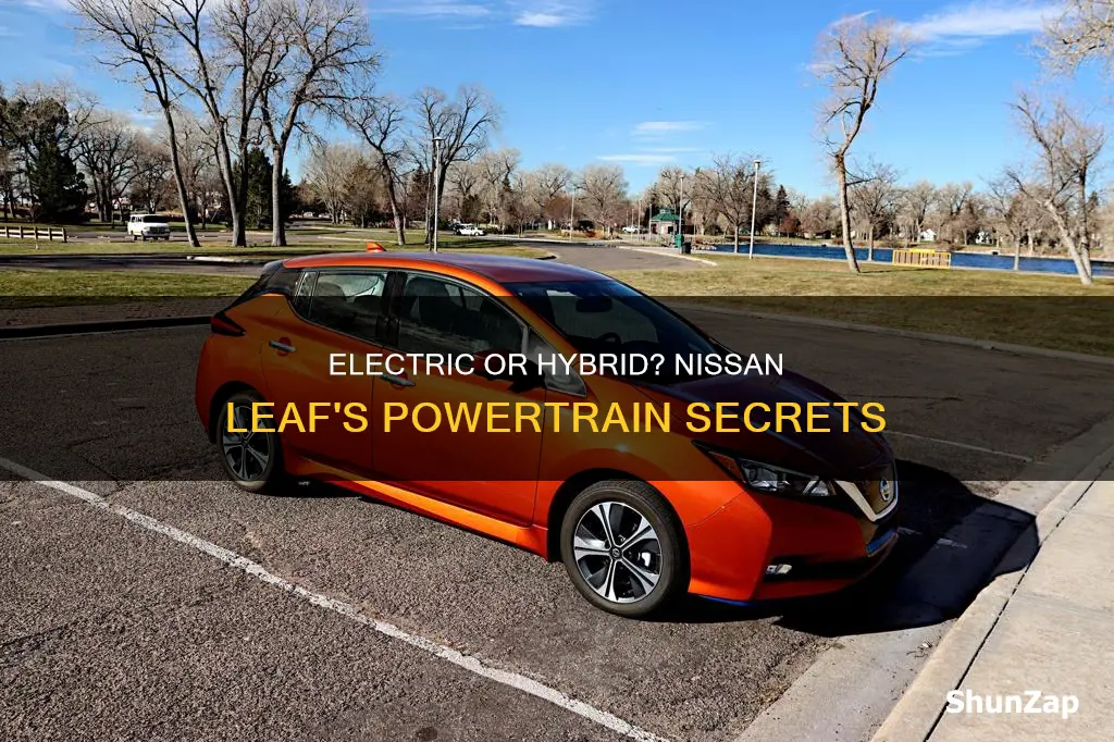 is a nissam leaf electric or hybrid