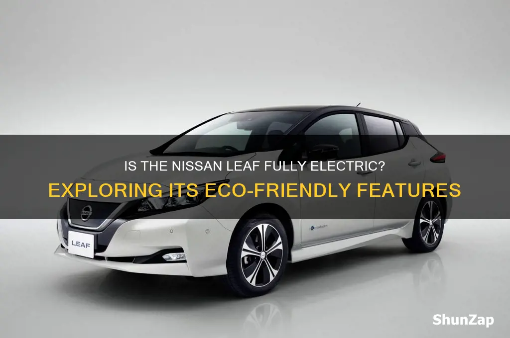 is a nissan leaf an electric car