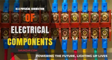 The Evolution of Physical Electrical Connections