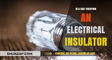 Salt Solutions: Conductors or Insulators?