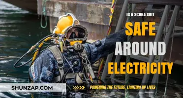 Can You Scuba Dive Near Power Sources?