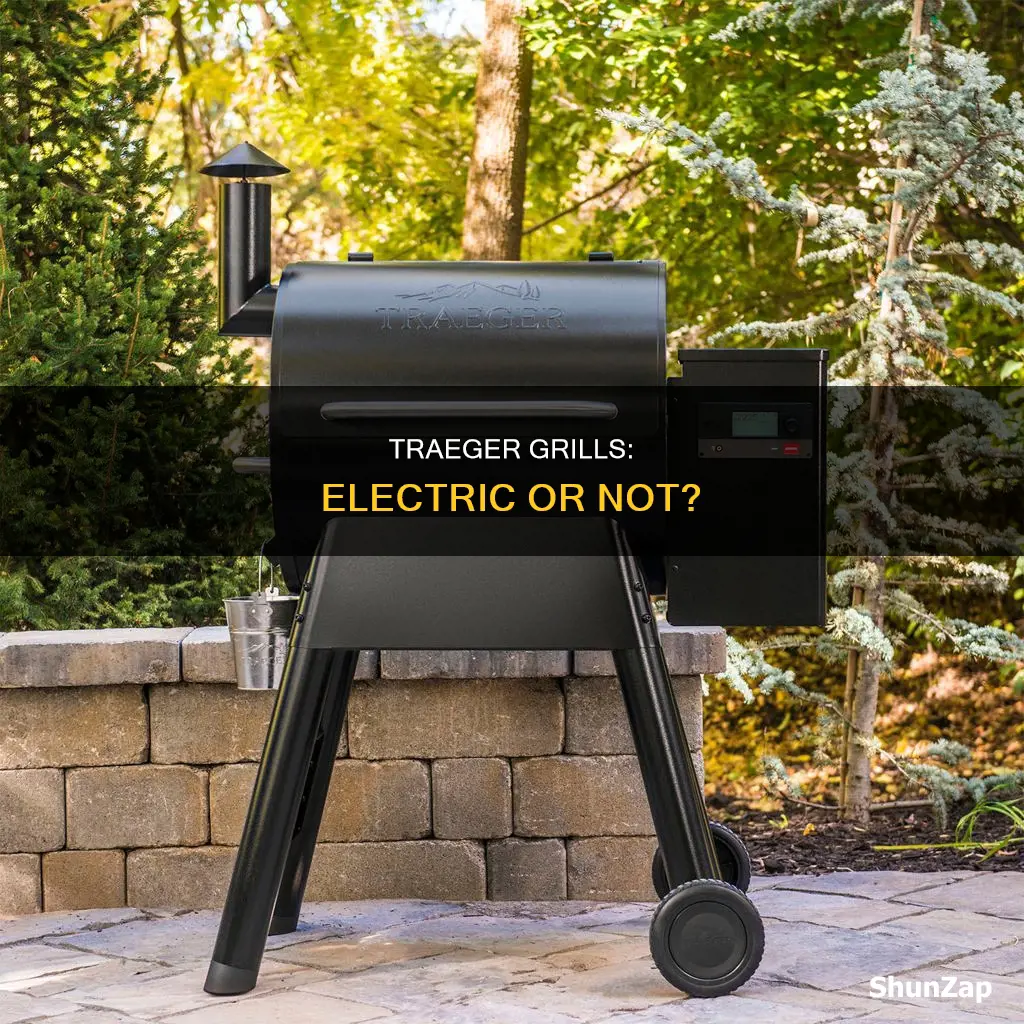 is a traeger considered an electric grill