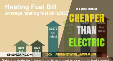 Wood vs Electric Furnace: Cheaper Option?