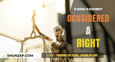 Electricity Access: A Fundamental Human Right?