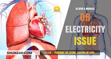 Understanding AFib: Muscle Dysfunction or Electrical Issue?