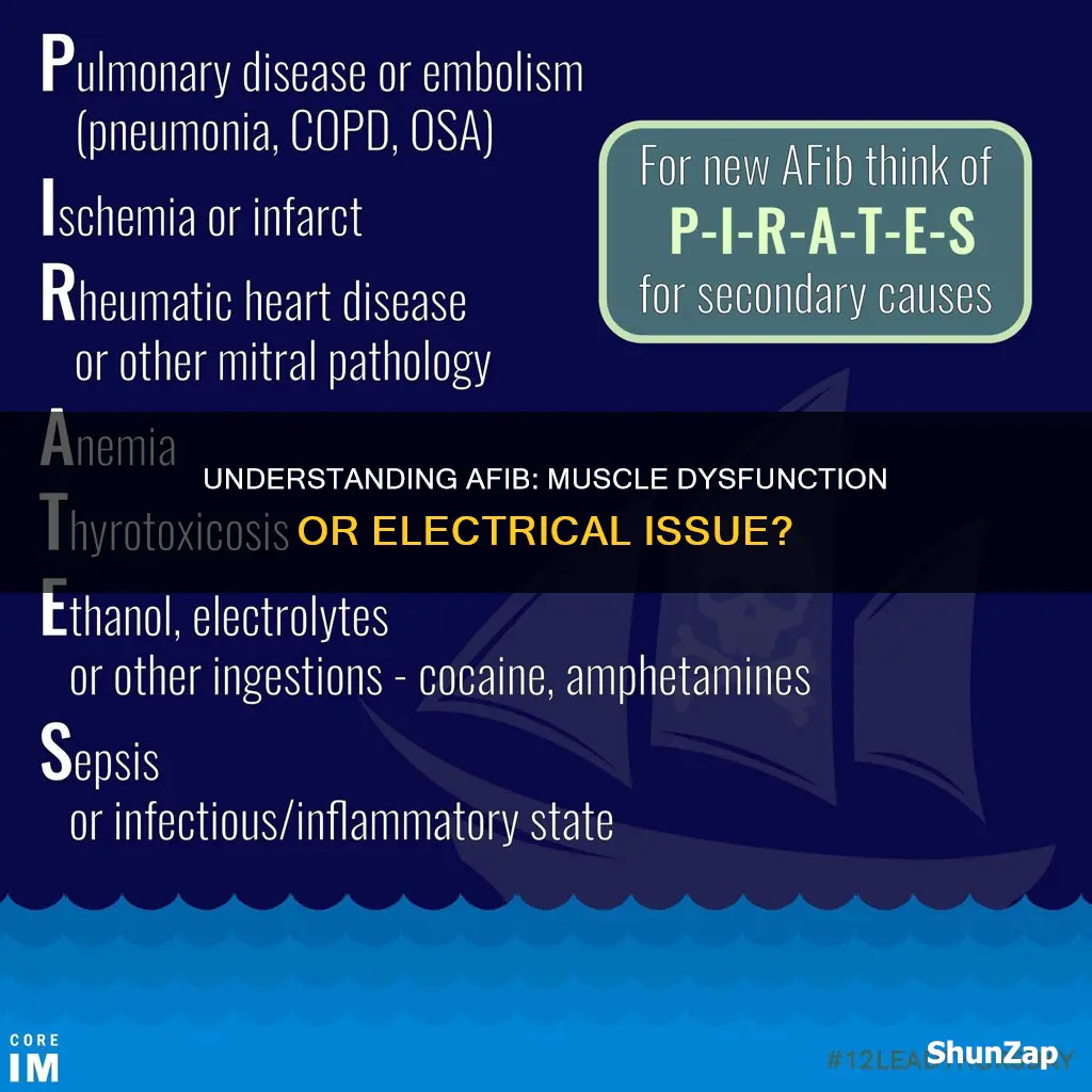 is afib a muscle or electricity issue