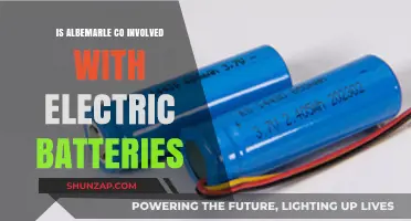 Albemarle Co.'s Electric Battery Revolution: Powering the Future