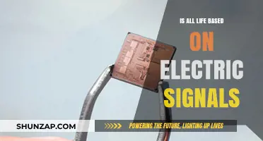 Electric Signals: The Language of Life